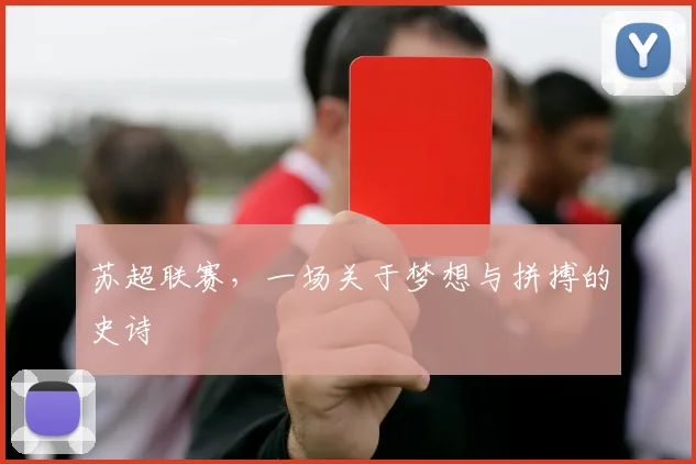 苏超联赛,一场关于梦想与拼搏的史诗